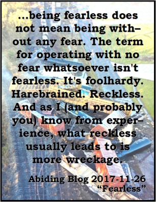 ...being fearless does not mean being without any fear. The term for operating with no fear whatsoever isn't fearless. It's foolhardy. Harebrained. Reckless. And as I (and probably you) know from experience, what reckless usually leads to is more wreckage. #Fearlessness #Recklessness #AbidingBlog2017Fearless